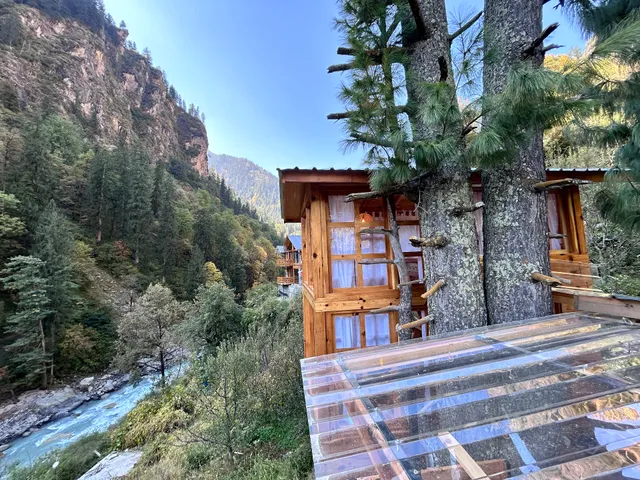 Sage Cabins & Treehouse