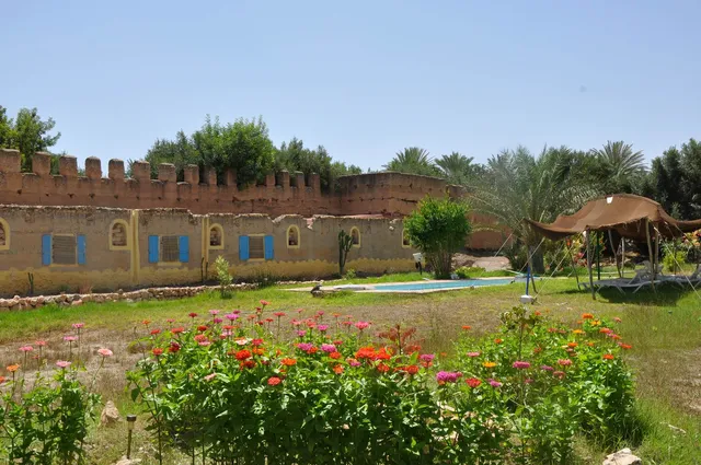 BIVOUAC SOUS LES PALMIERS BLEUS