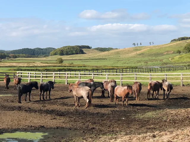 Tsurui Dosanko Bokujō Farm