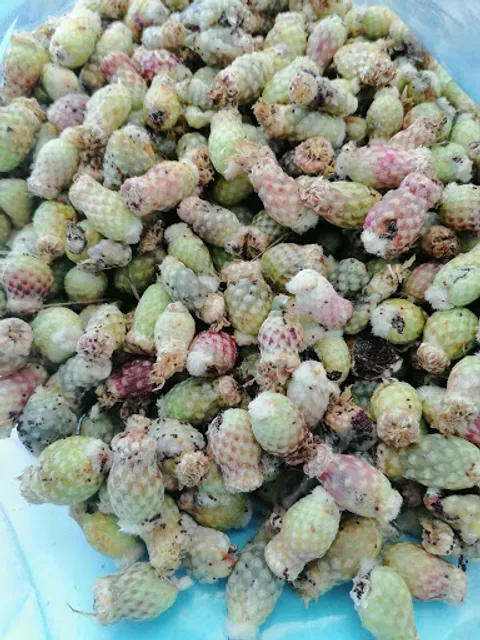 Paleteria Y Neveria La Michoacana