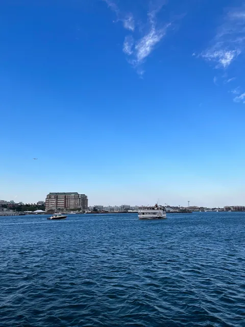 Great Molasses Flood Plaque