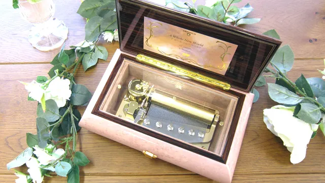 Nidec Sankyo Music Box Museum SUWANONE