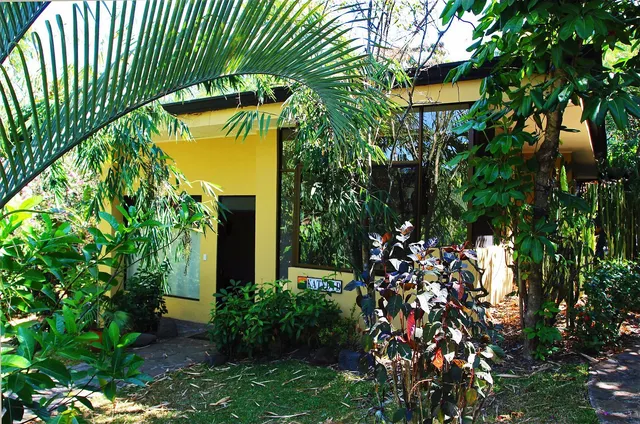Pura Vida Hotel