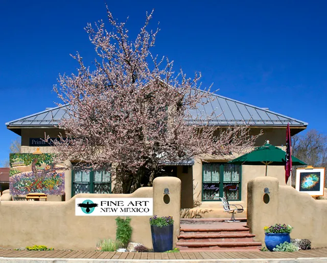 Fine Art New Mexico LLC