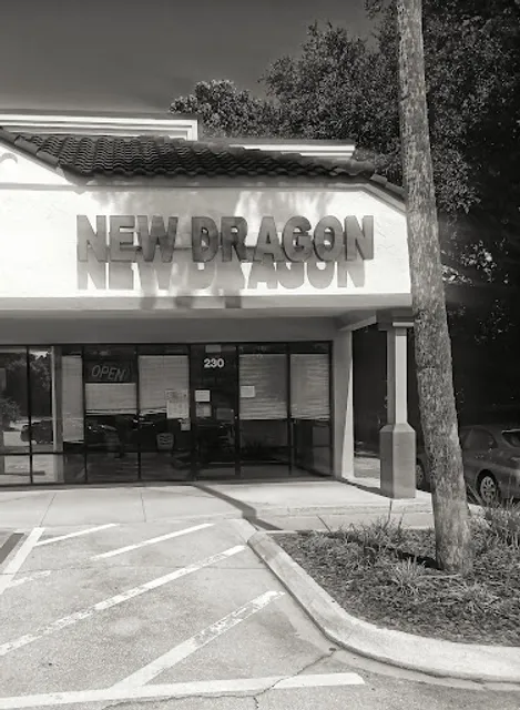 New Dragon
