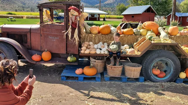 Wemple's Pumpkin Patch