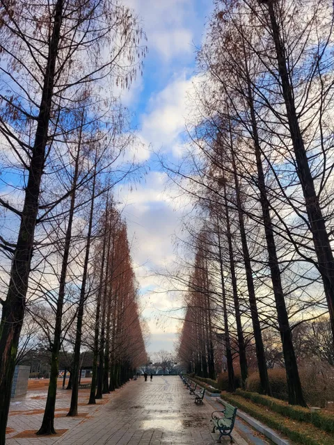 Lotte World Hotel Swimming Pool