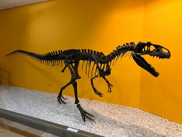 Natural Science Museum of Valencia