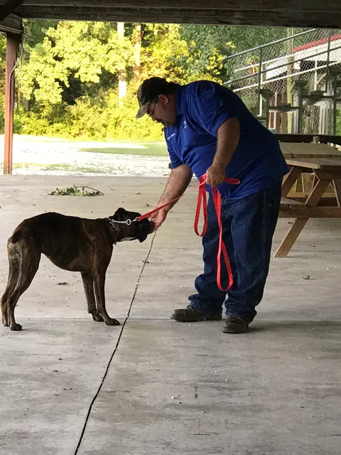 Wilson's Dog Training