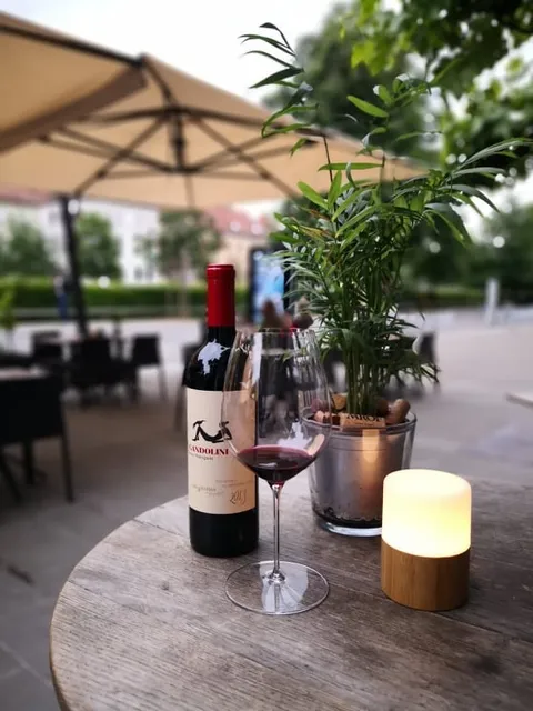 Wine Bar Šuklje