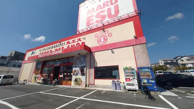 Maruesu Pet