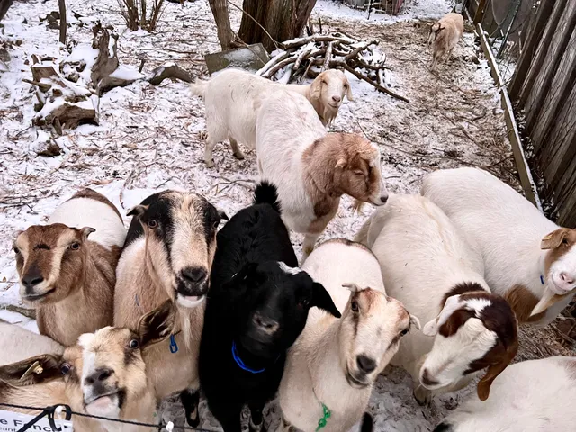 Garfield Community Farm