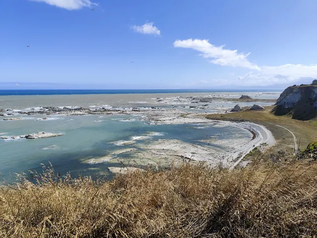 Point Kean Viewpoint