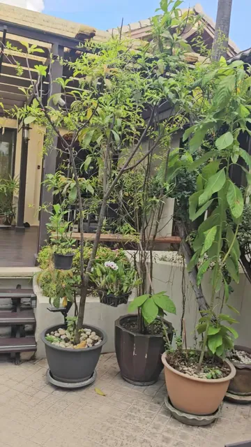 The Siam Heritage Hotel