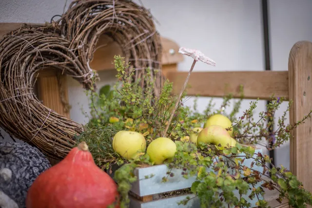 Ferienwohnungen Wald & Mee(h)r Familie Goldbach