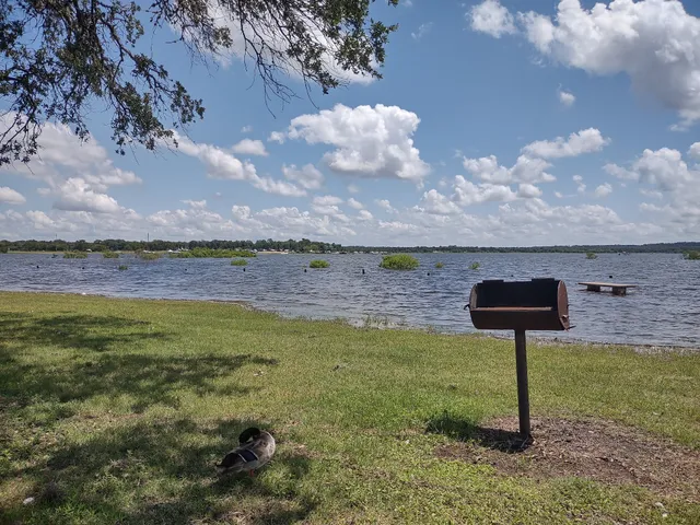 Lake Somerville Lookout