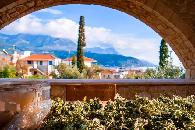 Orion Residence Mani