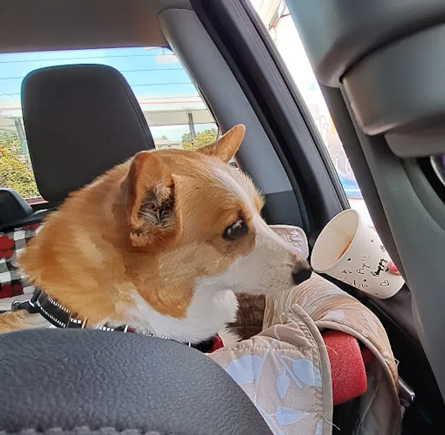 Jitter Bean Coffee Co.