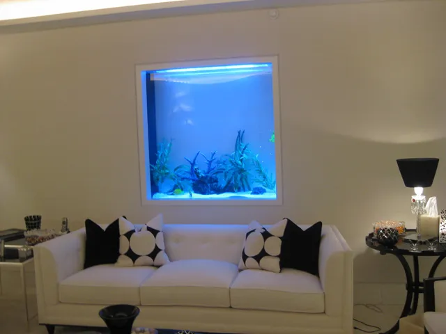 Aquarius Aquariums