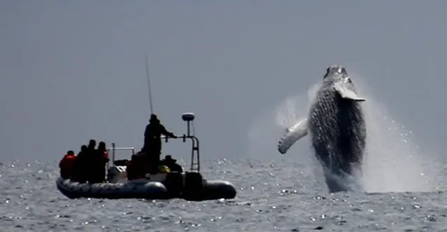 Trinity Eco-Tours and Lodge