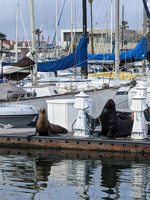 Channel Islands Expeditions - Oxnard