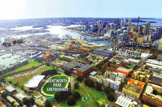 Wentworth Park Greyhounds