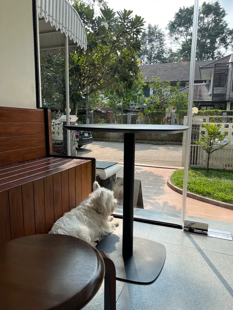 Sun to the Moon Cafe