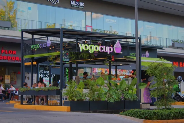 Yogocup Plaza Xochitl