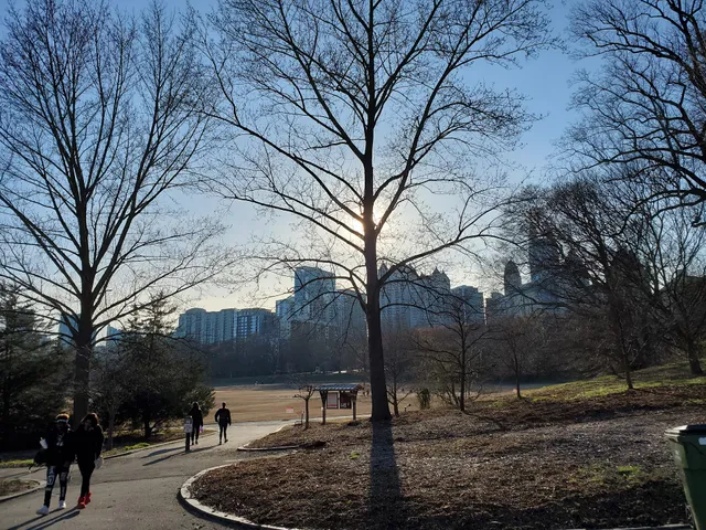 The Meadow at Piedmont Park