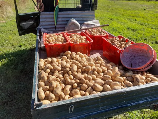 Vecchia Falegnameria - Agriristoro