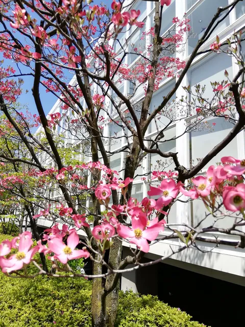 L-factory (エルファクトリー）