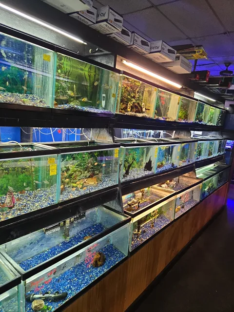 Belpre Aquarium & Pet Shop