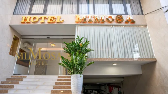 Hotel Mimosa