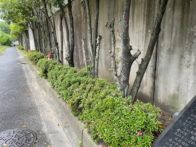 平安京朱雀大路跡 銘板