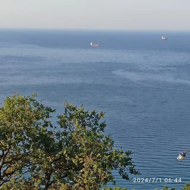 Apartments Vila Dusan