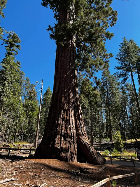 Grizzly Giant Trailhead (Accessible)