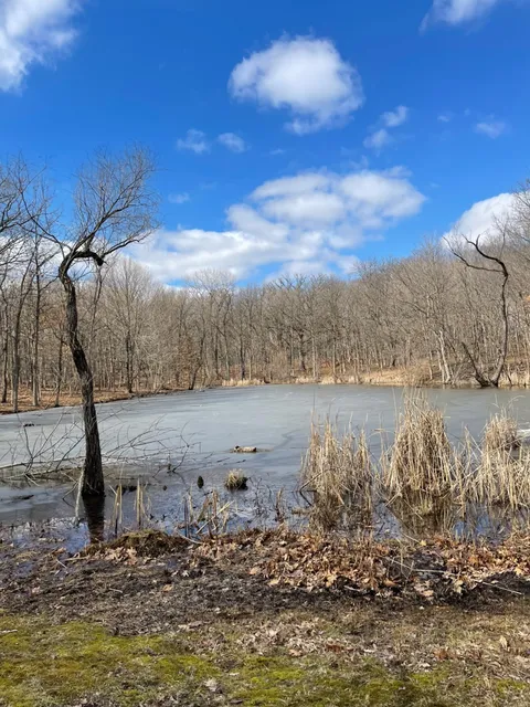 Hickory Creek Preserve