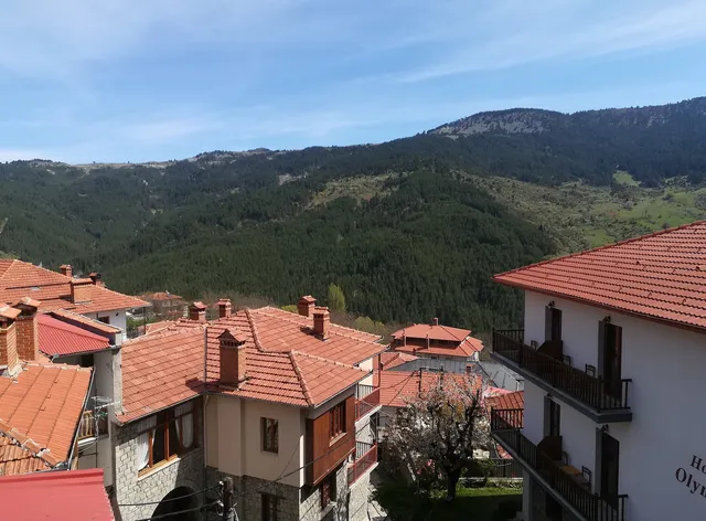 Arka Metsovo