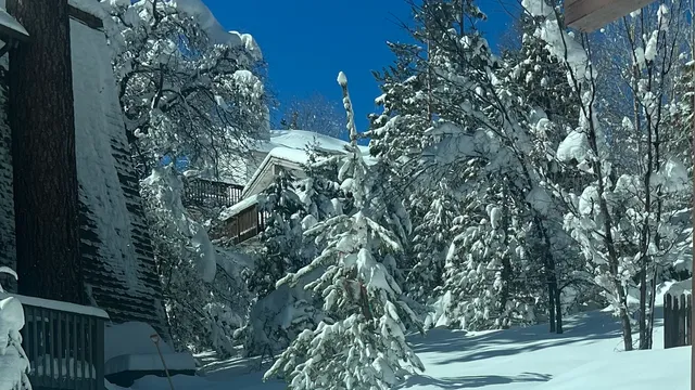 The Cabin @ Fawnskin