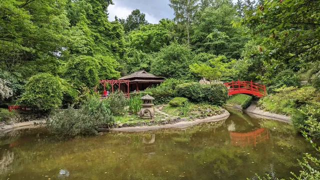 Japanese Garden