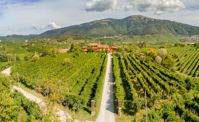 Azienda Agricola Campion