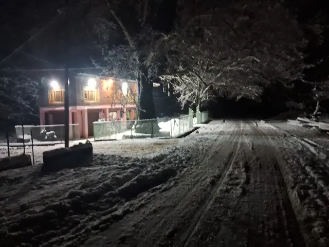 Canal road homestay and cafe