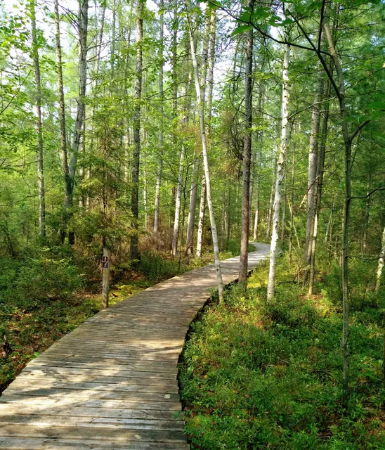 North Trout Nature Trail