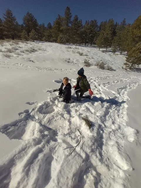 Olympic Park Playground