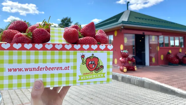 Erdbeer- und Kürbishof Wunderlich Stockerau