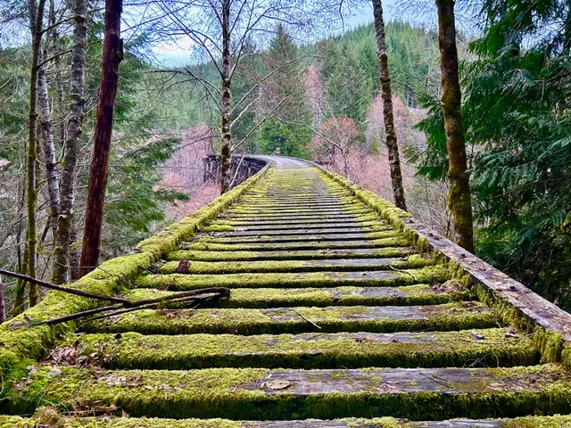 Top Hill Trail Vernonia / Banks Trail
