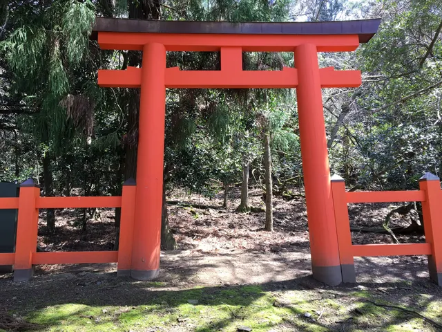 Mikasayama-ukigumonomine-yohaisho