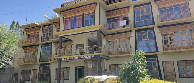 Reeyork Native Ladakhi