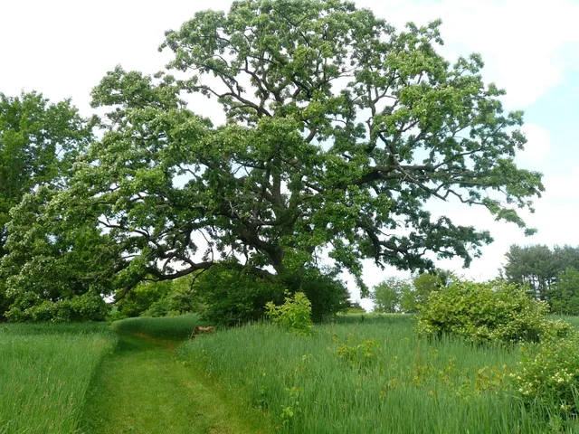 Farley Center (Linda and Gene Farley Center for Peace, Justice and Sustainability)