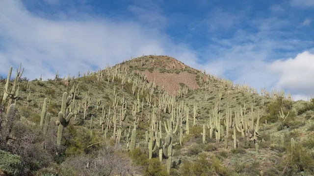 Tonto National Forest Supervisor's Office